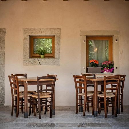 Agriturismo Il Bosco Camere Виторио Венето Екстериор снимка